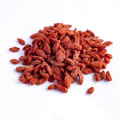 New Crop Red Goji Benefits